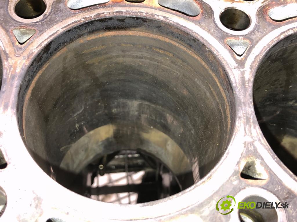 BMW E61 Kombi 2007 130 kW 525 d 2497 blok Motor 7788546 (Blok motora)