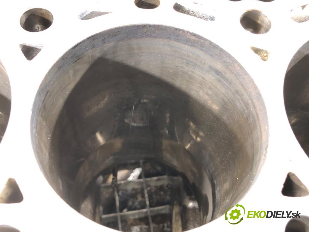 BMW E61 Kombi 2007 130 kW 525 d 2497 blok Motor 7788546 (Blok motora)