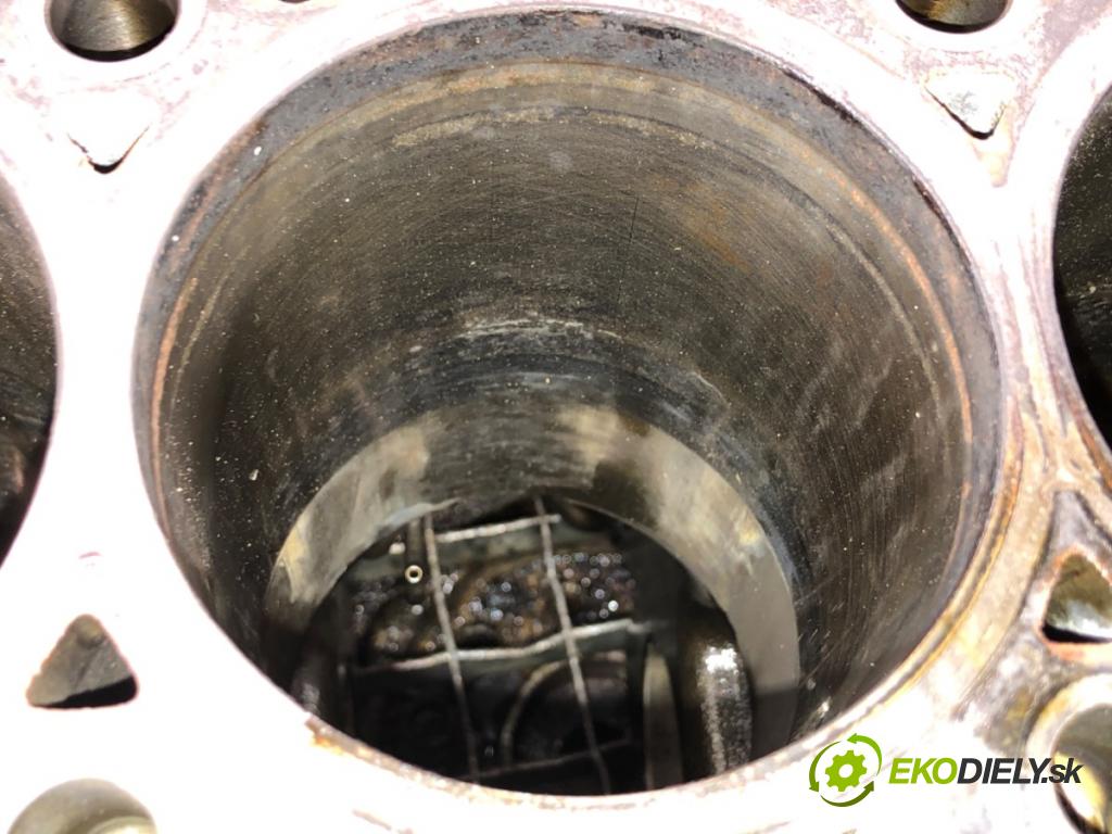 BMW E61 Kombi 2007 130 kW 525 d 2497 blok Motor 7788546 (Blok motora)