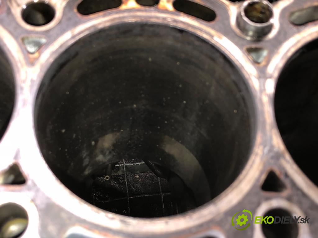 BMW E61 Kombi 2007 130 kW 525 d 2497 blok Motor 7788546 (Blok motora)