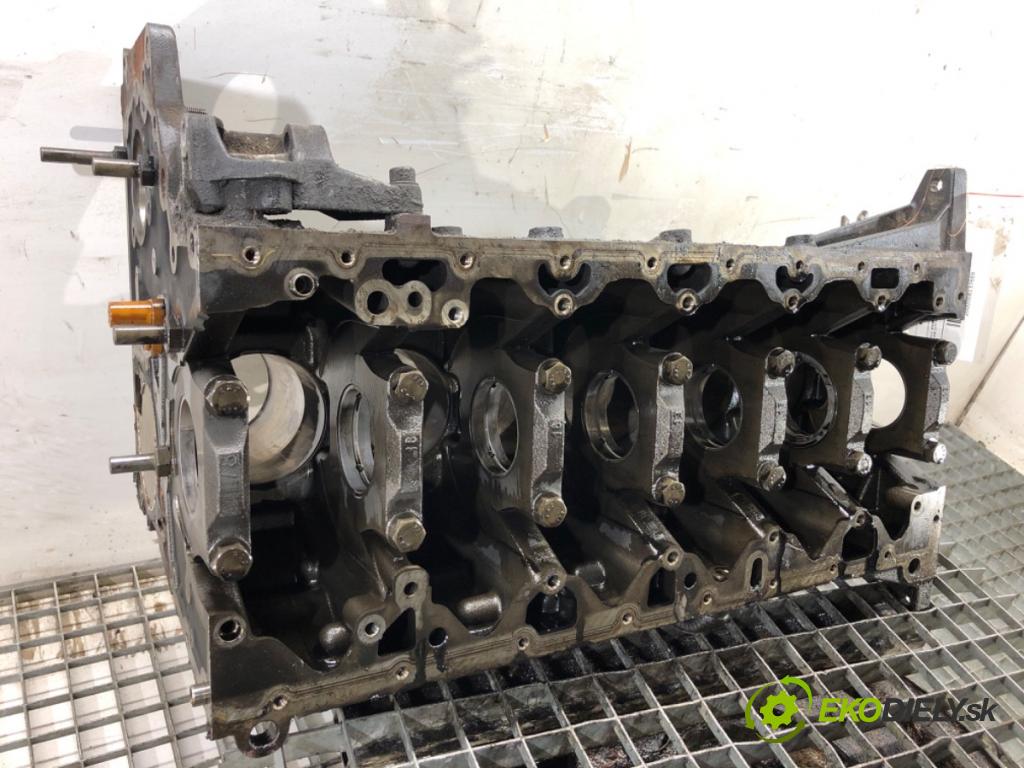 BMW E61 Kombi 2007 130 kW 525 d 2497 blok Motor 7788546 (Blok motora)