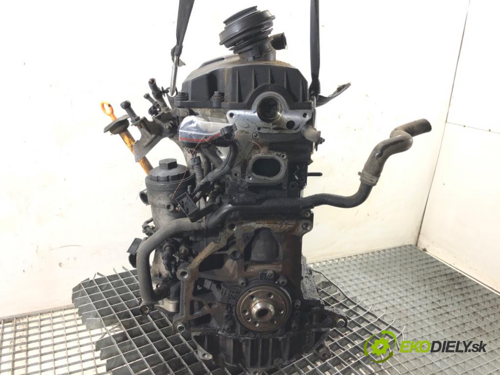 VW GOLF V liftback 2004 77 kW 1.9 TDI 1896 Motor BKC (Motor)