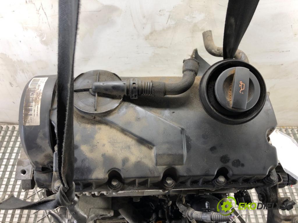 VW GOLF V liftback 2004 77 kW 1.9 TDI 1896 Motor BKC (Motor)