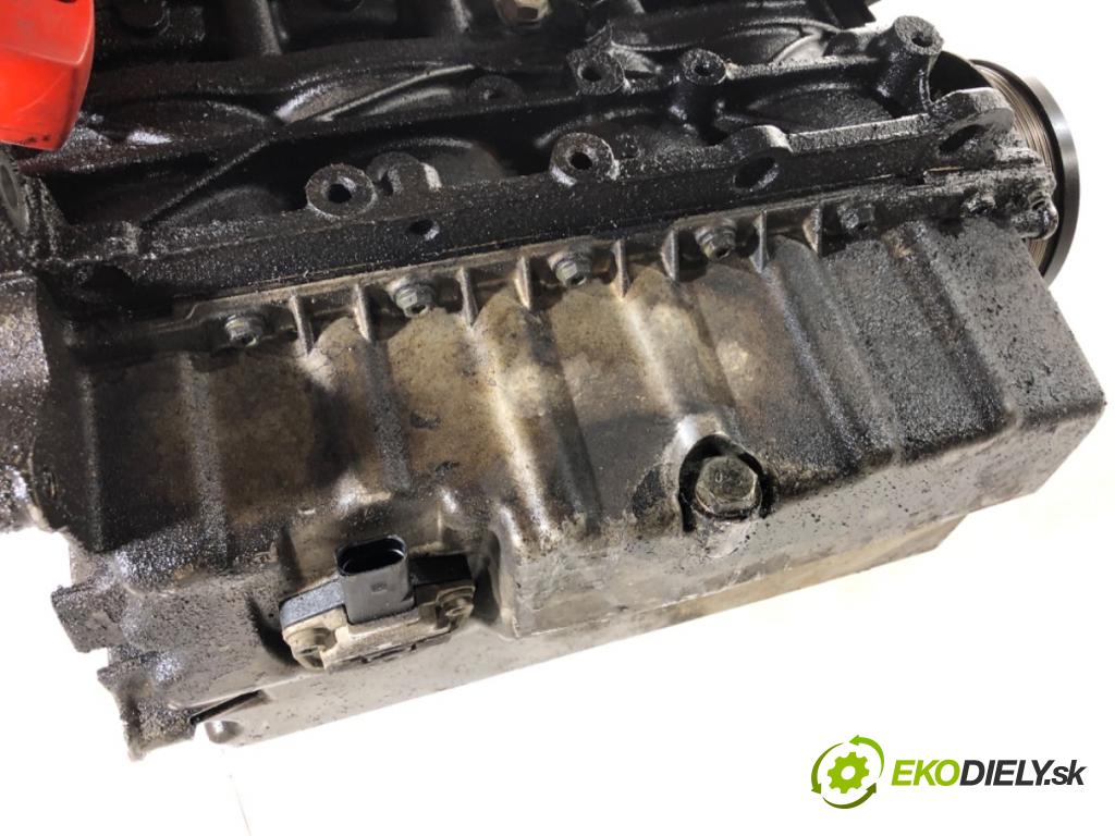 VW GOLF V liftback 2004 77 kW 1.9 TDI 1896 Motor BKC (Motor)