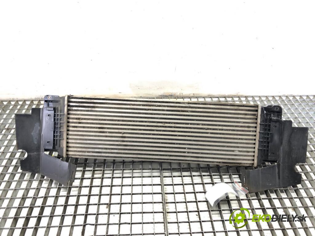 VW CARFTER 30 35 Autobus 2010 120 kW 2.5 TDI 2461 intercooler A9065010301 (Intercooler (chladič nasávaného vzduchu))