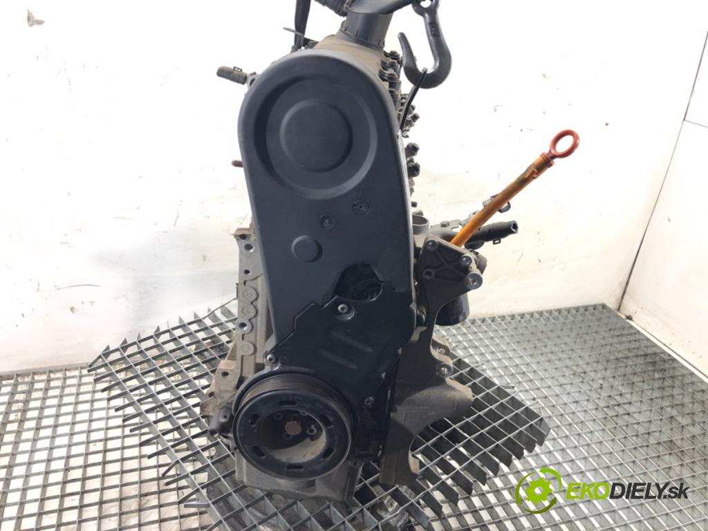 SEAT LEON II liftback 2008 75 kW 1.6 1595 Motor BSE (Motor)
