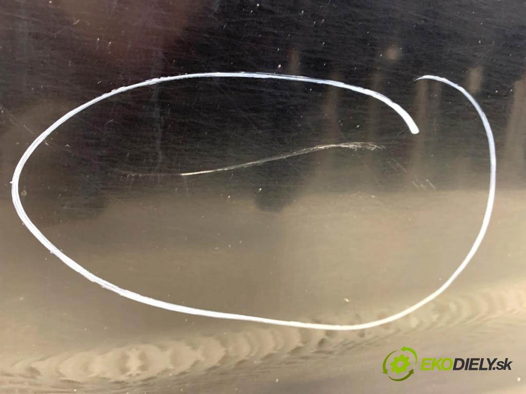 TOYOTA PRIUS II liftback 2008 57 kW 1.5 Hybrid (NHW20_) 1497 Dvere ľavy predný