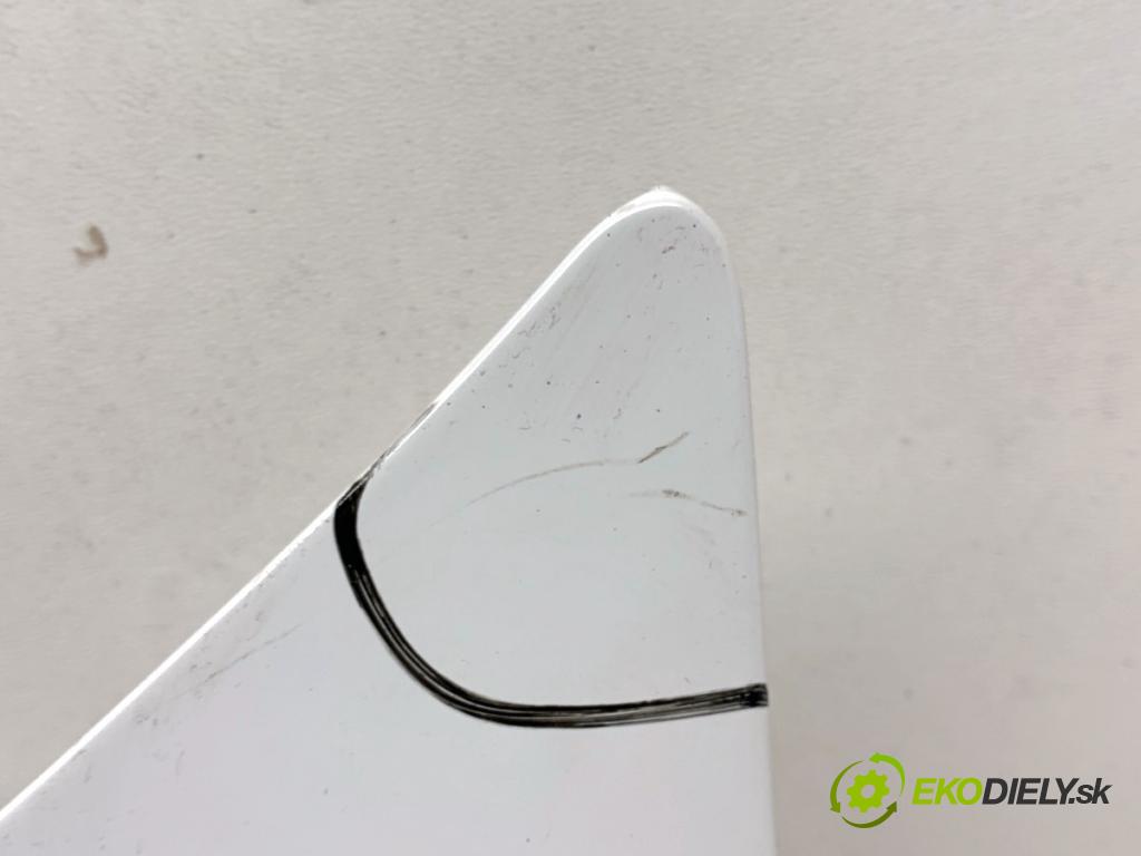 RENAULT KANGOO II nadwozie wielkoprzestrzenne (MPV) 2021 85 kW 1.5 dCi 115 (KW17) 1461 kapota (Kapota)