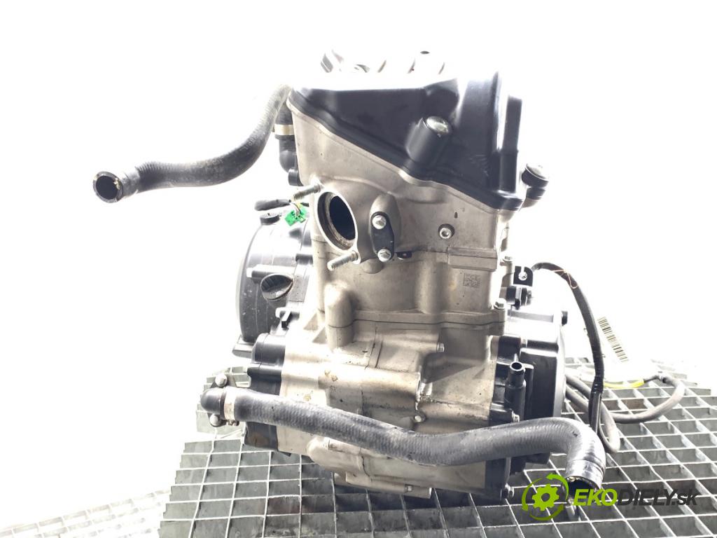 Fantic Caballero (2019 -  2023 33 kW 500 33kW (44KM) 463 Motor ZS194MQ (Motor)