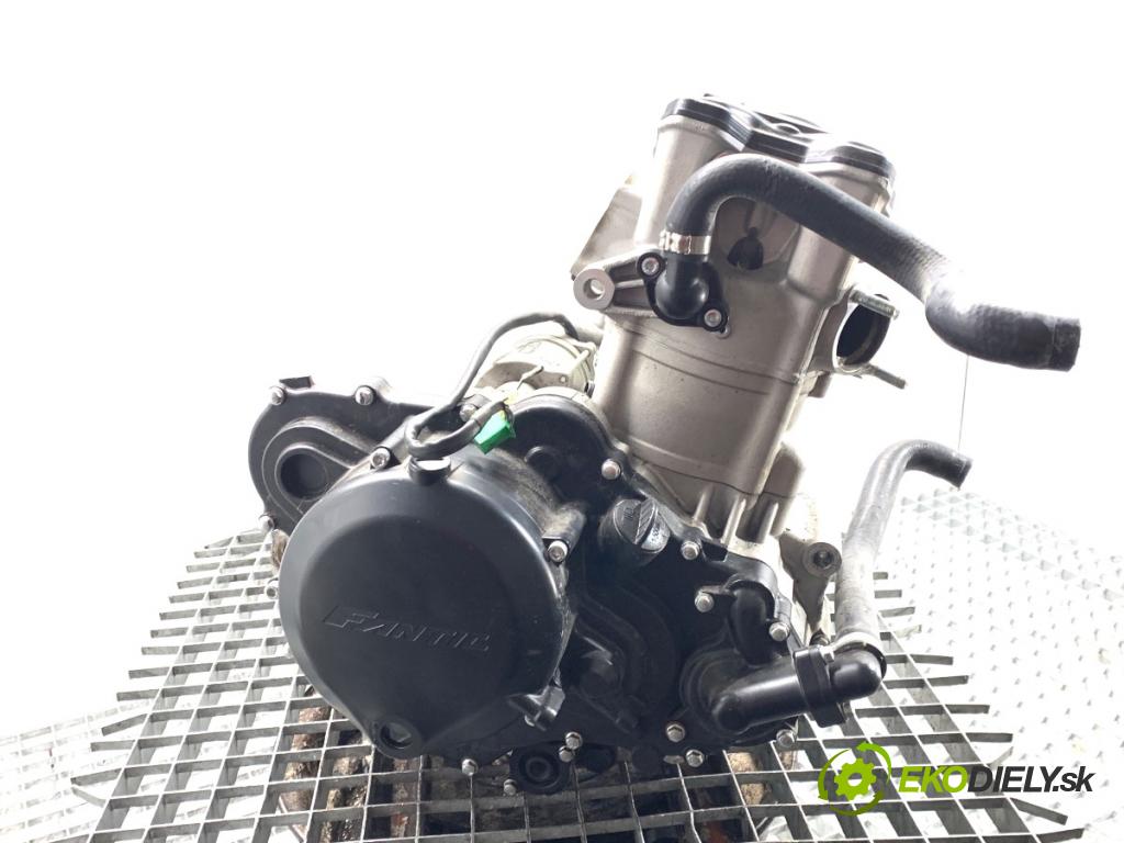 Fantic Caballero (2019 -  2023 33 kW 500 33kW (44KM) 463 Motor ZS194MQ (Motor)