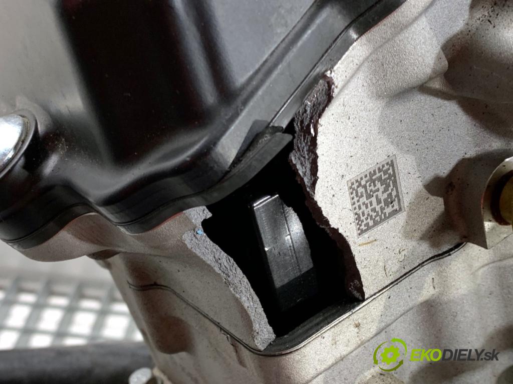 Fantic Caballero (2019 -  2023 33 kW 500 33kW (44KM) 463 Motor ZS194MQ (Motor)