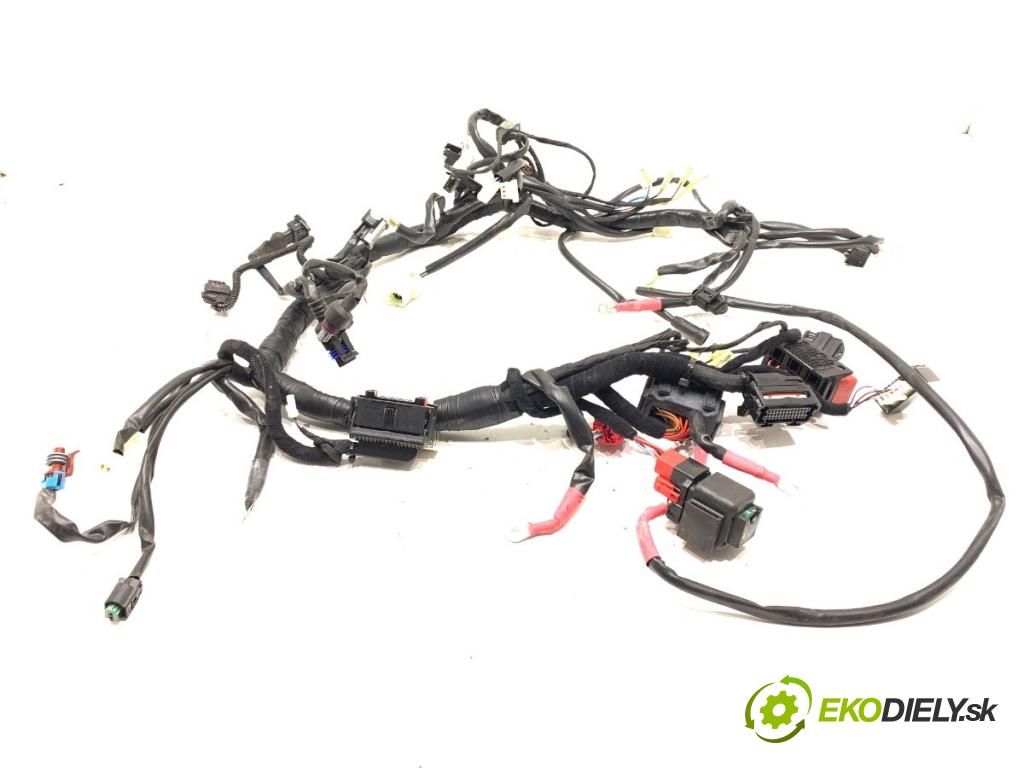 FANTIC Caballero (2019 -  2023 33 kW 500 33kW (44KM) 463 Káblovačka elektrická 