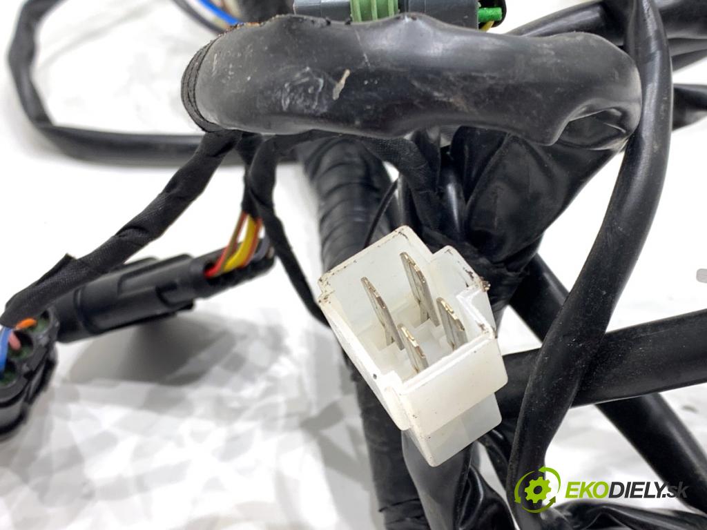 FANTIC Caballero (2019 -  2023 33 kW 500 33kW (44KM) 463 Káblovačka elektrická