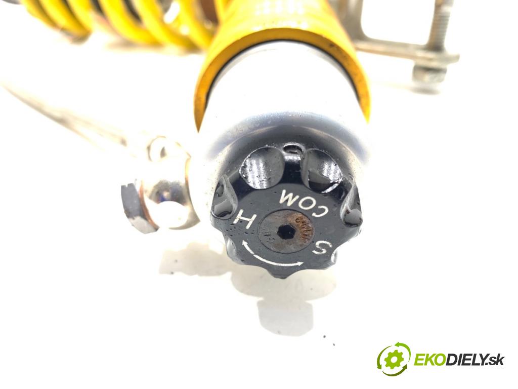 FANTIC Caballero (2019 -  2023 33 kW 500 33kW (44KM) 463 Tlmič zad