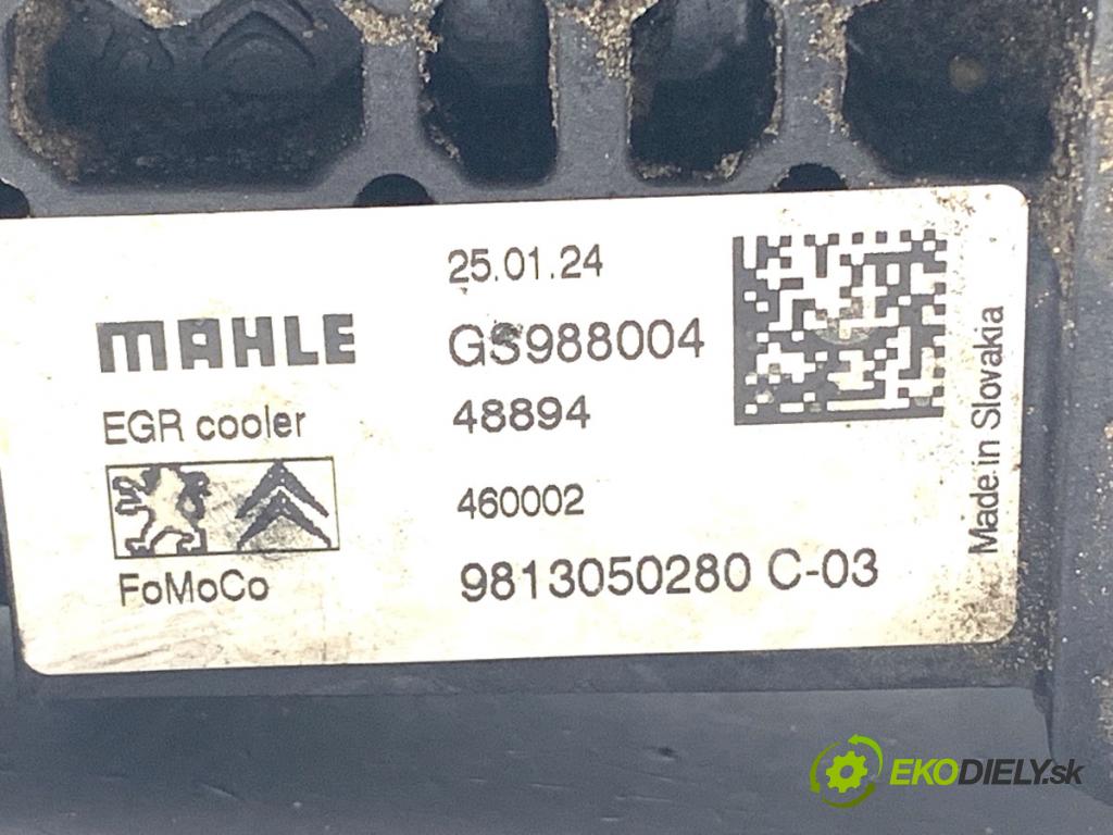 TOYOTA PROACE nadwozie wielkoprzestrzenne (MPV) 2024 96 kW 1.5 D-4D 130 (BKYMA) 1499 Chladič EGR 9813050280