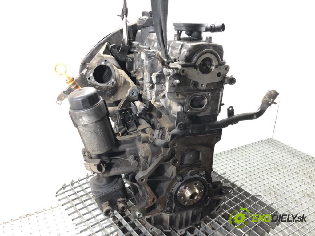 SEAT LEON I liftback 2002 81 kW 1.9 TDI 1896 Motor ASV (Motor)