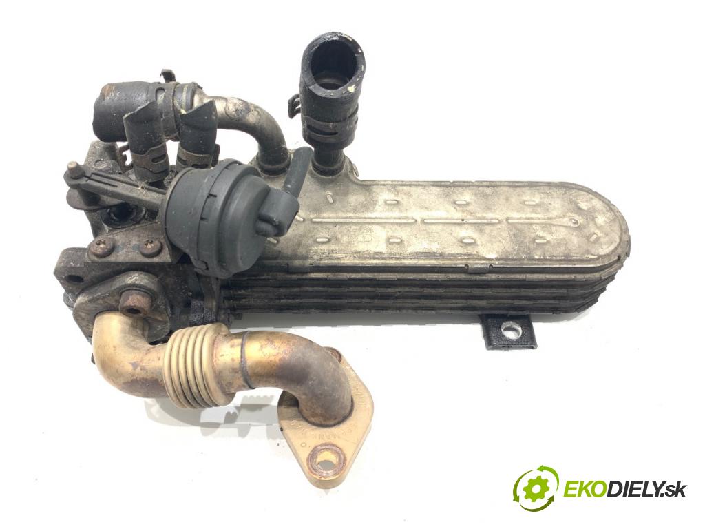 VW TOURAN nadwozie wielkoprzestrzenne (MPV) 2005 103 kW 2.0 TDI 1968 chladič EGR 03G131513J