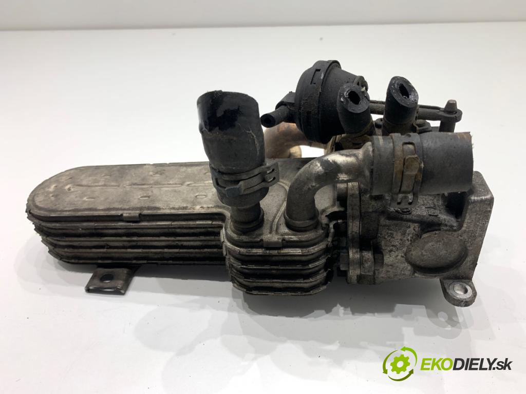 VW TOURAN nadwozie wielkoprzestrzenne (MPV) 2005 103 kW 2.0 TDI 1968 chladič EGR 03G131513J