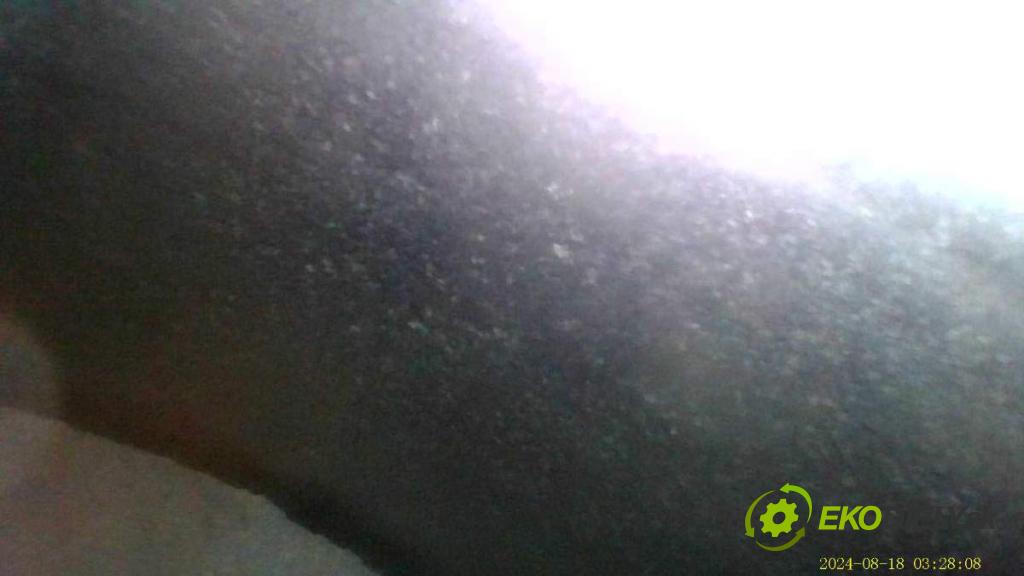 SUZUKI GRAND VITARA II samochód terenowy zamknięty 2006 95 kW 1.9 DDiS Napęd na wszystkie koła (JT419, TD44, JB419WD,... 1870 Motor F9QB264 (Motor)