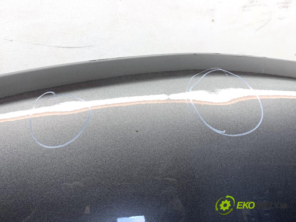 HYUNDAI SANTA FE III SUV 2014 145 kW 2.2 CRDi 4WD 2199 kapota  (Kapota)