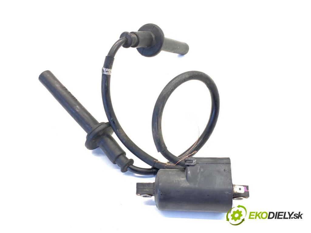 YAMAHA FZS 1000 FAZER  2002 105 kW FZS 1000 FAZER 998 Cievka zapaľovacia 129700-4321 (Zapaľovacia cievka)