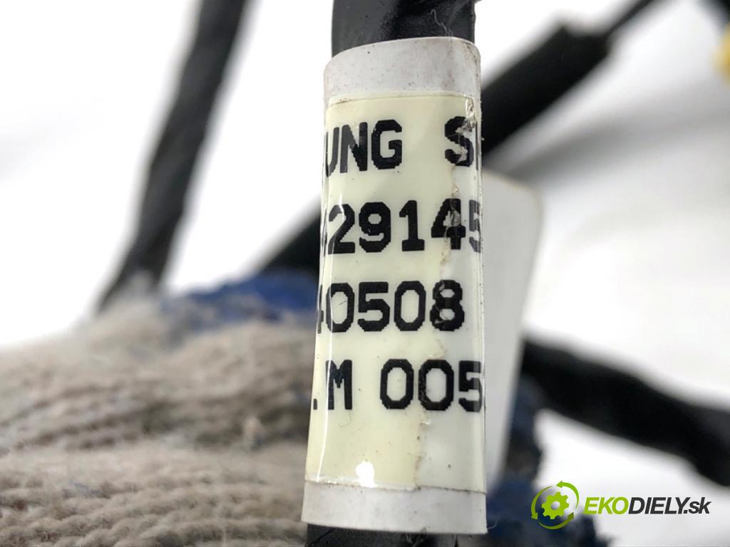 HYUNDAI SANTA FE III SUV 2014 145 kW 2.2 CRDi 4WD 2199 Káblovačka Dvere zad ľavy 91650-2W071