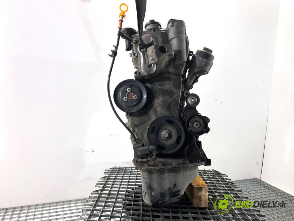 SKODA FABIA II liftback 2009 51 kW 1.2 LPG 1198 Motor BZG (Motor)