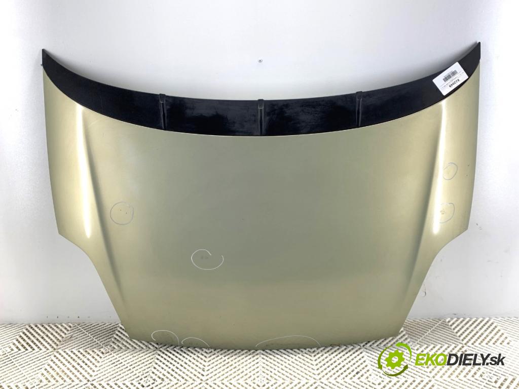 FIAT GRANDE PUNTO liftback 2006 57 kW 1.4 (199AXB11, 199AXB1A, 199BXB1A, 199AXL1A) 1368 Kapota  (Kapota)