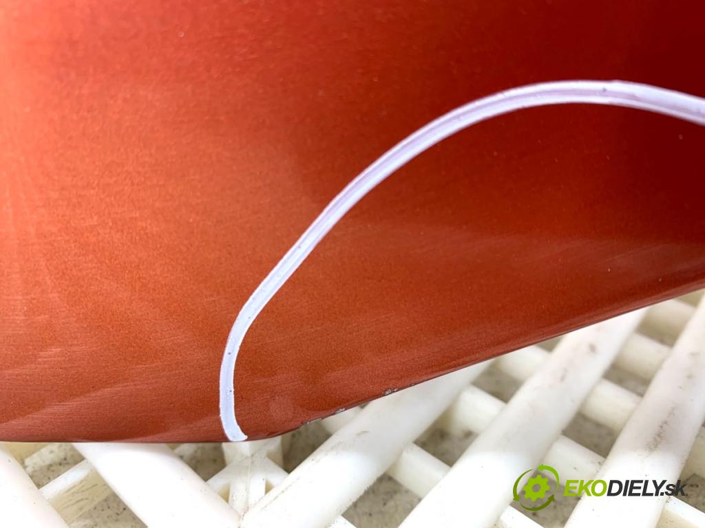 RENAULT CLIO III liftback 2007 55 kW 1.2 16V (BR02, BR0J, BR11, CR02, CR0J, CR11) 1149 kapota  (Kapota)