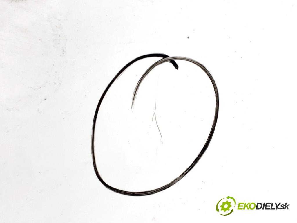 FIAT BRAVO II liftback 2010 103 kW 1.4 16V (198AXS1B) 1368 Kapota  (Kapota)