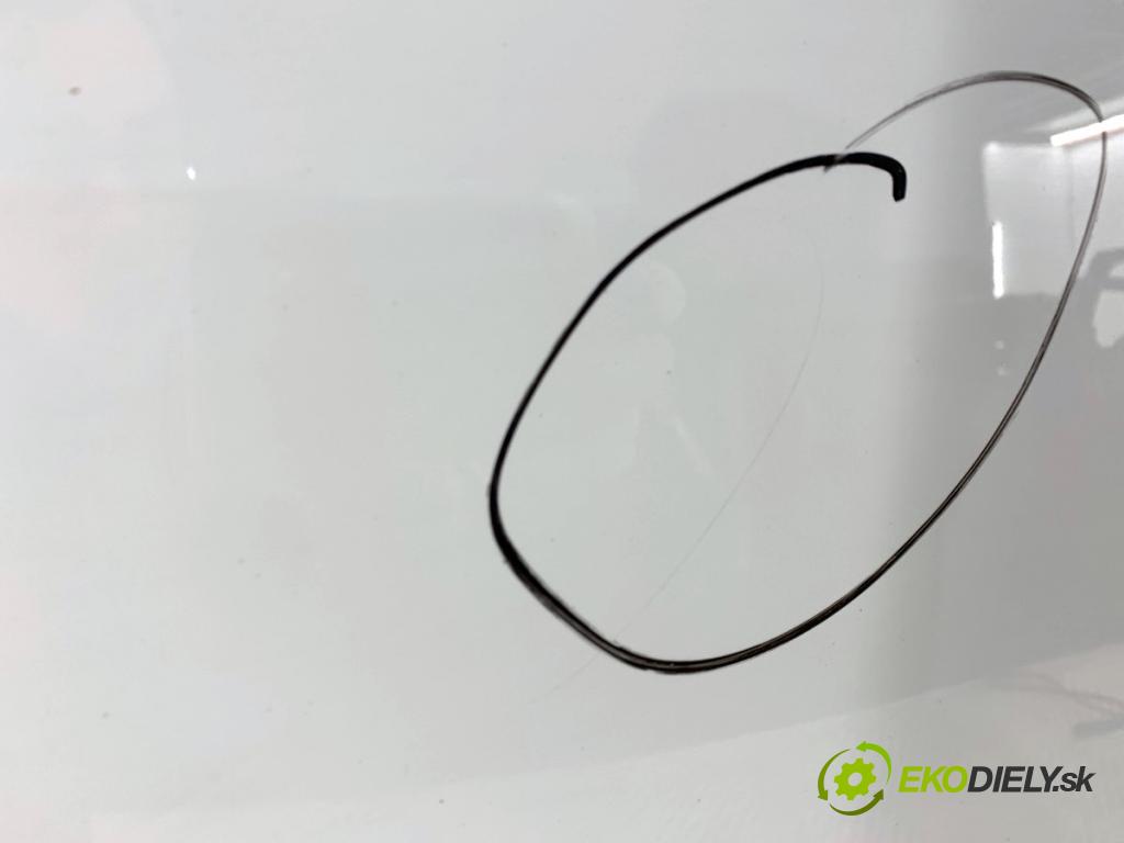 FIAT BRAVO II liftback 2010 103 kW 1.4 16V (198AXS1B) 1368 Kapota  (Kapota)