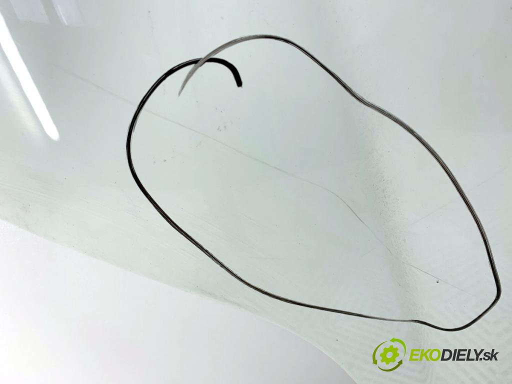 FIAT BRAVO II liftback 2010 103 kW 1.4 16V (198AXS1B) 1368 Kapota  (Kapota)