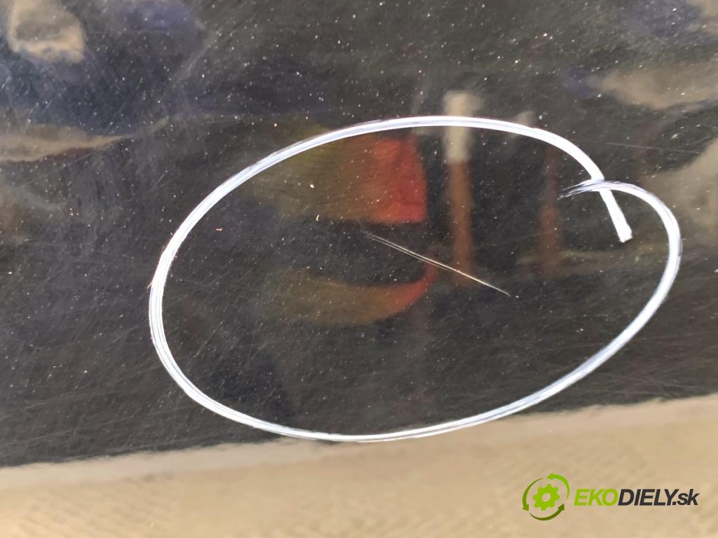 VW POLO V liftback 2010 55 kW 1.2 TDI 1199 Dvere pravy zad L041