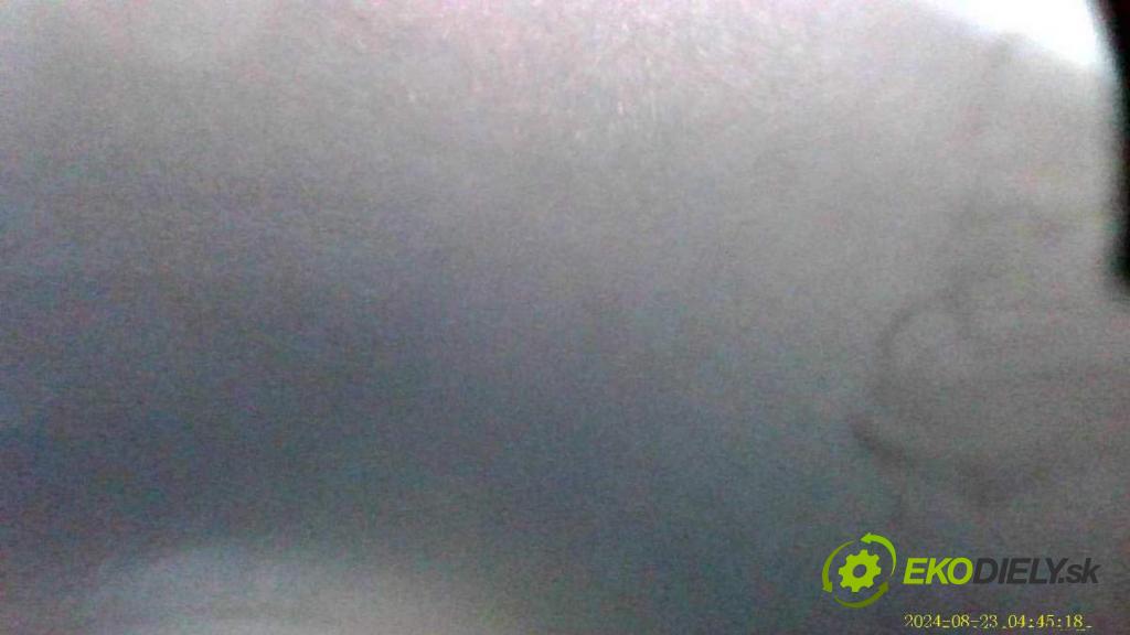 VW TOUAREG SUV 2004 128 kW 2.5 R5 TDI 2461 Motor BAC (Motor)