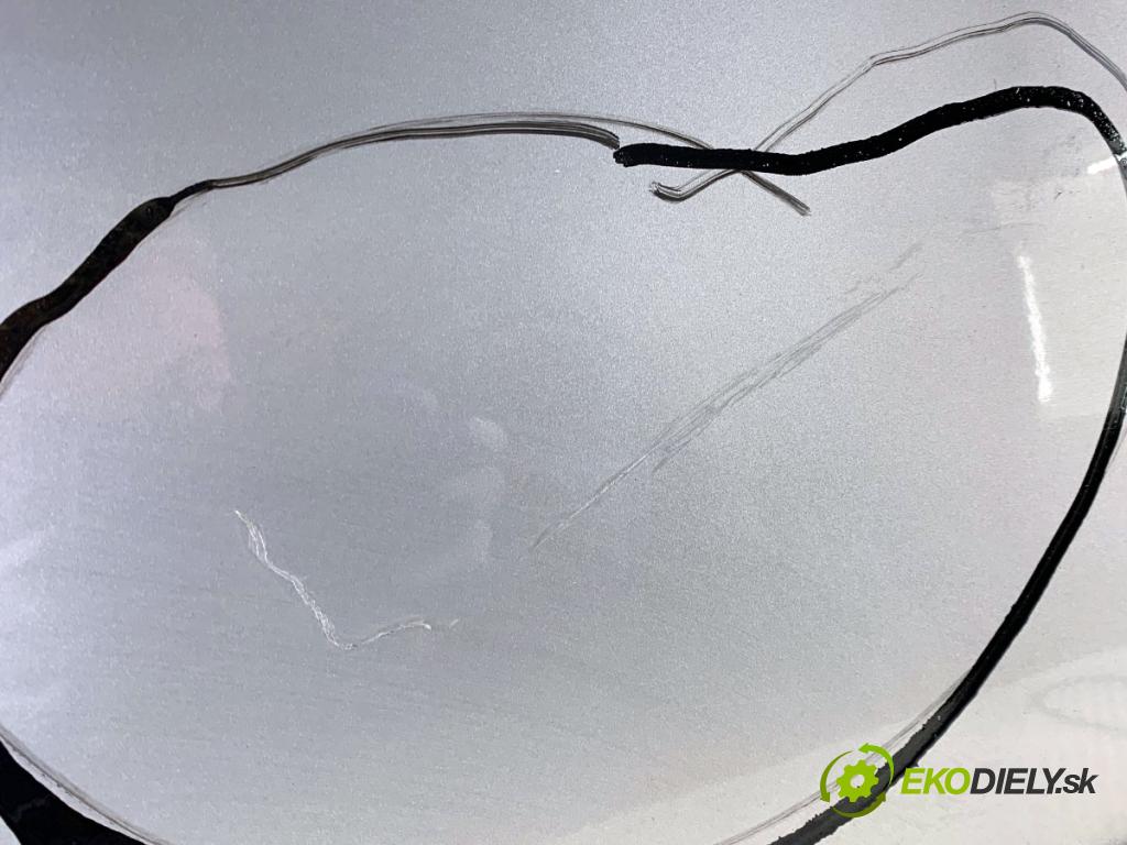 SKODA ROOMSTER nadwozie wielkoprzestrzenne (MPV) 2007 77 kW 1.6 1598 Dvere ľavy predný
