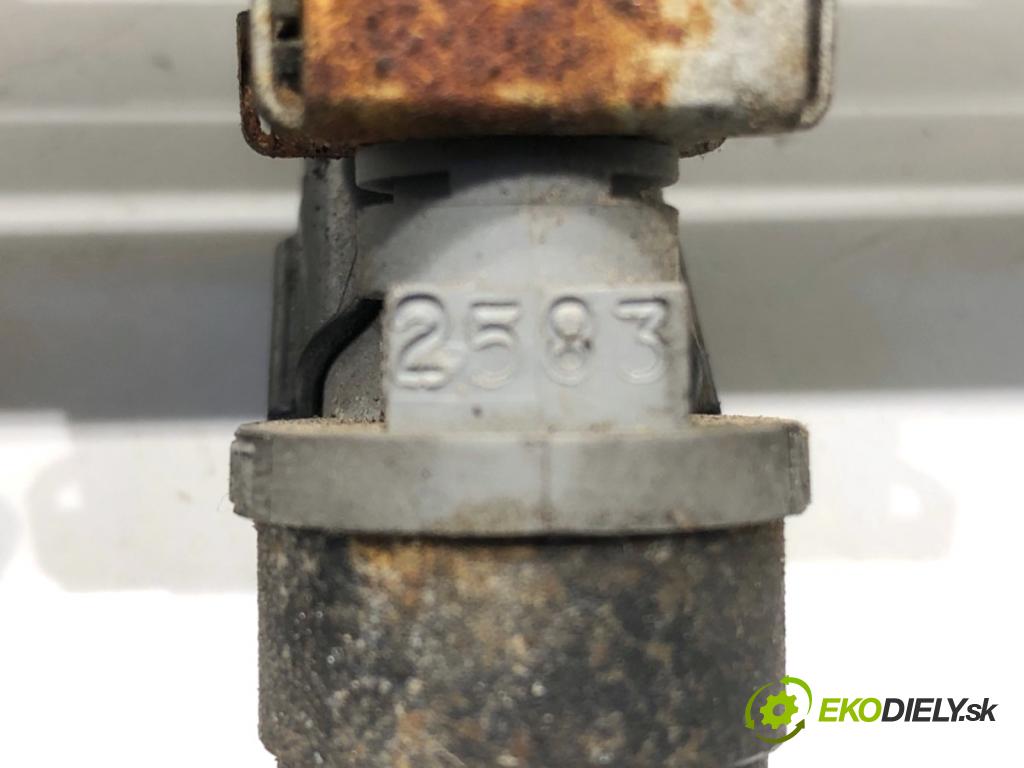 SEAT ALTEA nadwozie wielkoprzestrzenne (MPV) 2005 75 kW 1.6 1595 Lišta vstrekovacia  (Vstrekovacia lišta)