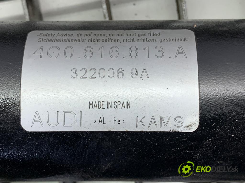 AUDI A6 C7 Kombi 2017 445 kW RS6 performance quattro 3993 Ventil nápravy 4G0616813A