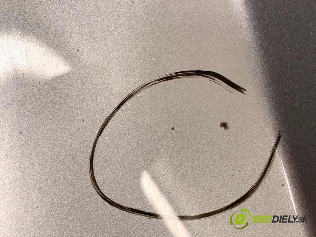 VW TIGUAN SUV 2008 103 kW 2.0 TDI 4motion 1968 kapota  (Kapota)