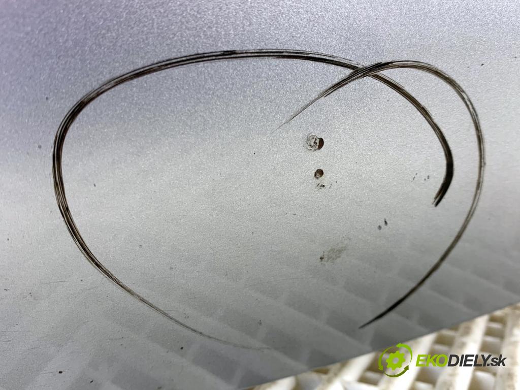 VW TIGUAN SUV 2008 103 kW 2.0 TDI 4motion 1968 kapota  (Kapota)