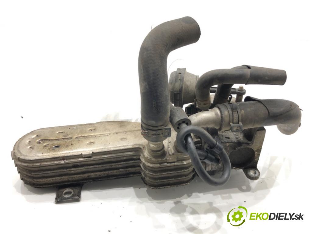 VW PASSAT B6 Kombi 2006 103 kW 2.0 TDI 1968 Chladič EGR 03G131513J