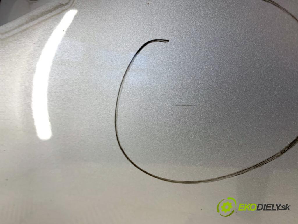 PEUGEOT 207 liftback 2009 53 kW 1.4 1360 Dvere ľavy predný