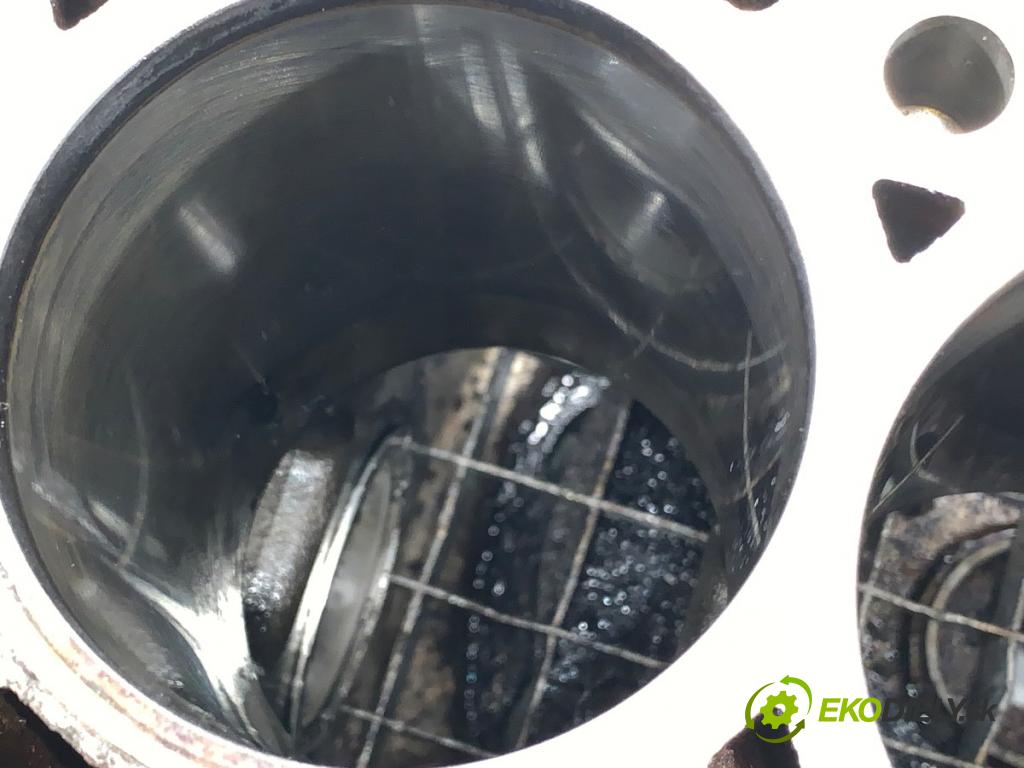 BMW E83 SUV 2004 150 kW 3.0 d 2993 JEDNOTKA: motora 7788546 (Blok motoru)