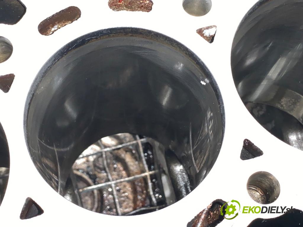 BMW E83 SUV 2004 150 kW 3.0 d 2993 JEDNOTKA: motora 7788546 (Blok motoru)