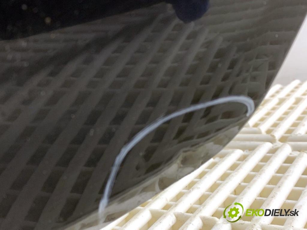 RENAULT LAGUNA III Kombi 2008 96 kW 2.0 dCi (KT07, KT0J, KT14, KT1A, KT1S) 1995 kapota  (Kapota)