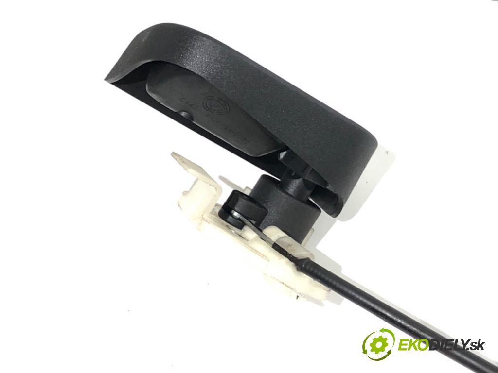 FIAT GRANDE PUNTO liftback 2006 57 kW 1.4 (199AXB11, 199AXB1A, 199BXB1A, 199AXL1A) 1368 Lanko kapoty 51733007