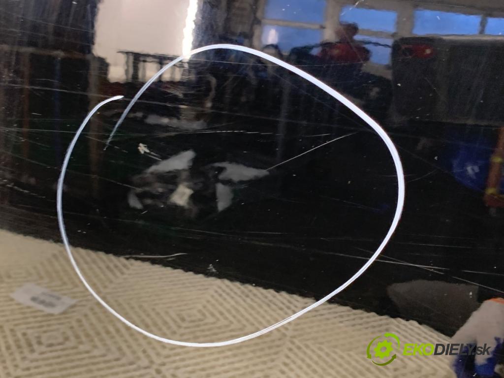 LEXUS CT liftback 2011 73 kW 200h (ZWA10_) 1798 Dvere ľavy zad