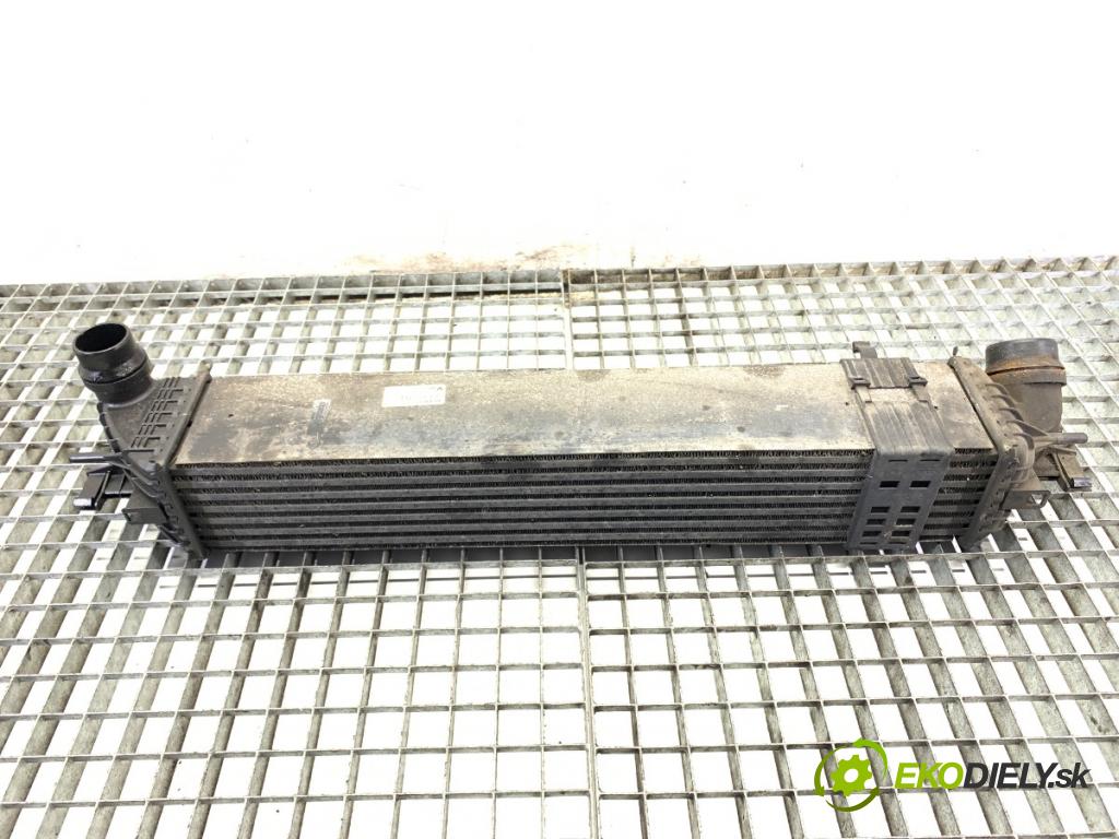 RENAULT LAGUNA III Kombi 2008 96 kW 2.0 dCi (KT07, KT0J, KT14, KT1A, KT1S) 1995 intercooler 144960001R (Intercooler (chladič nasávaného vzduchu))