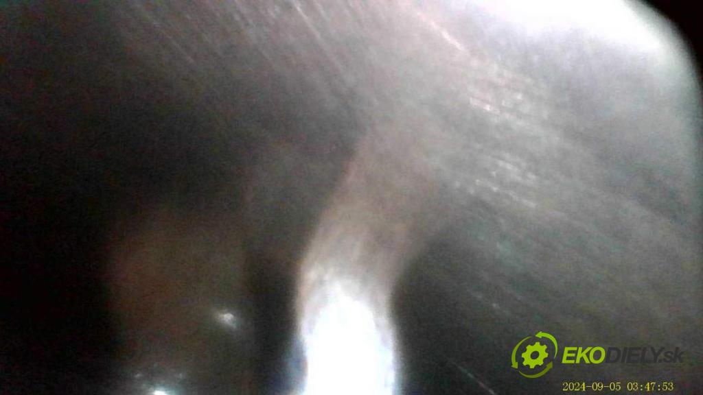 VW TRANSPORTER T6 Autobus 2020 81 kW 2.0 TDI 1968 Motor CXH (Motor)