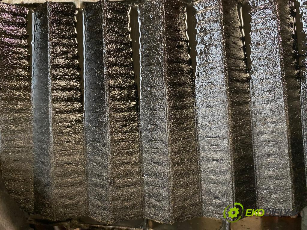 VW TRANSPORTER T6 Autobus 2020 81 kW 2.0 TDI 1968 Motor CXH (Motor)