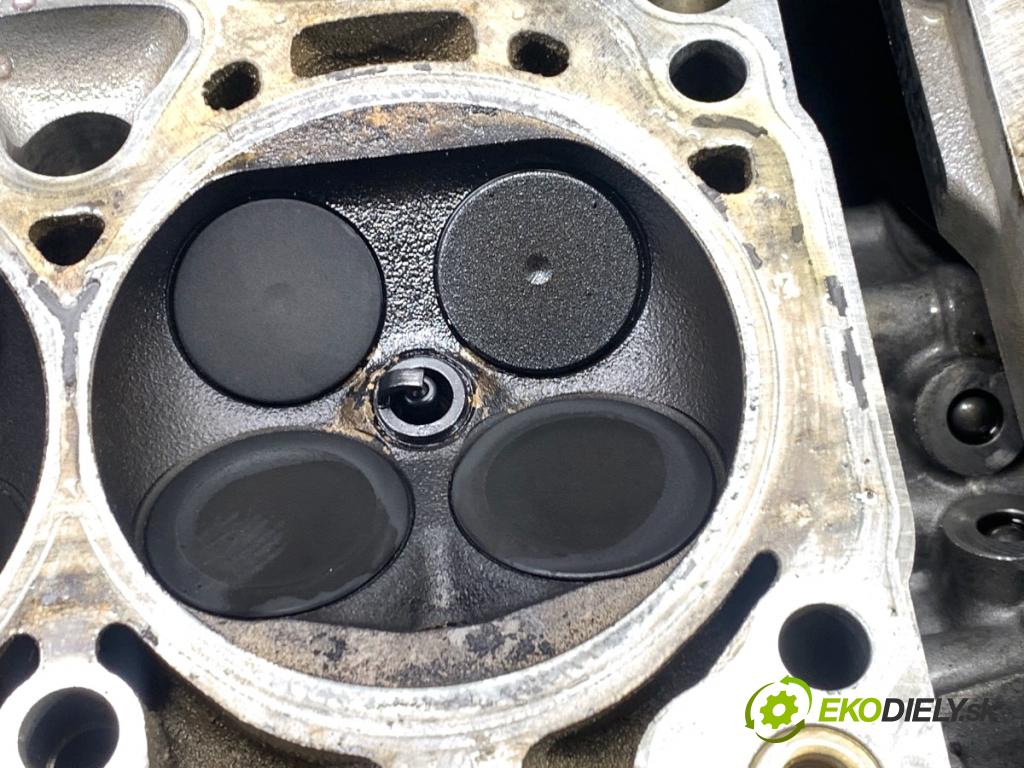 VW TIGUAN SUV 2009 125 kW 2.0 TFSI 4motion 1984 hlava válců 06H103373K (Hlava válců)